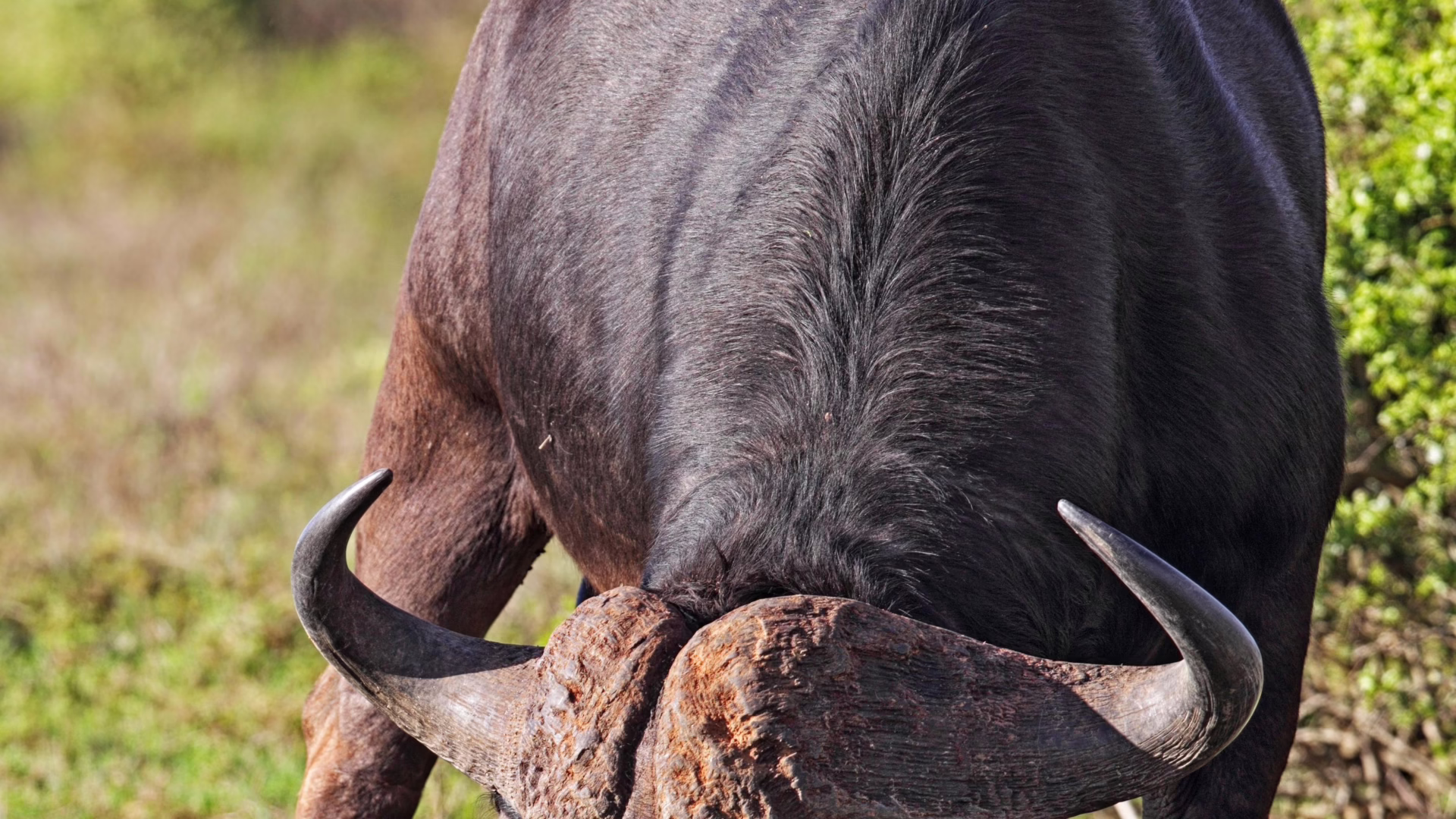 Amakhala Game Reserve, South Africa