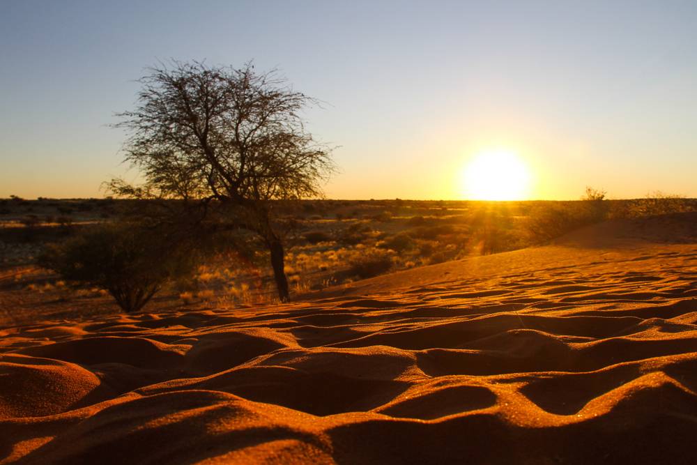 Southern Kalahari, Namibia
