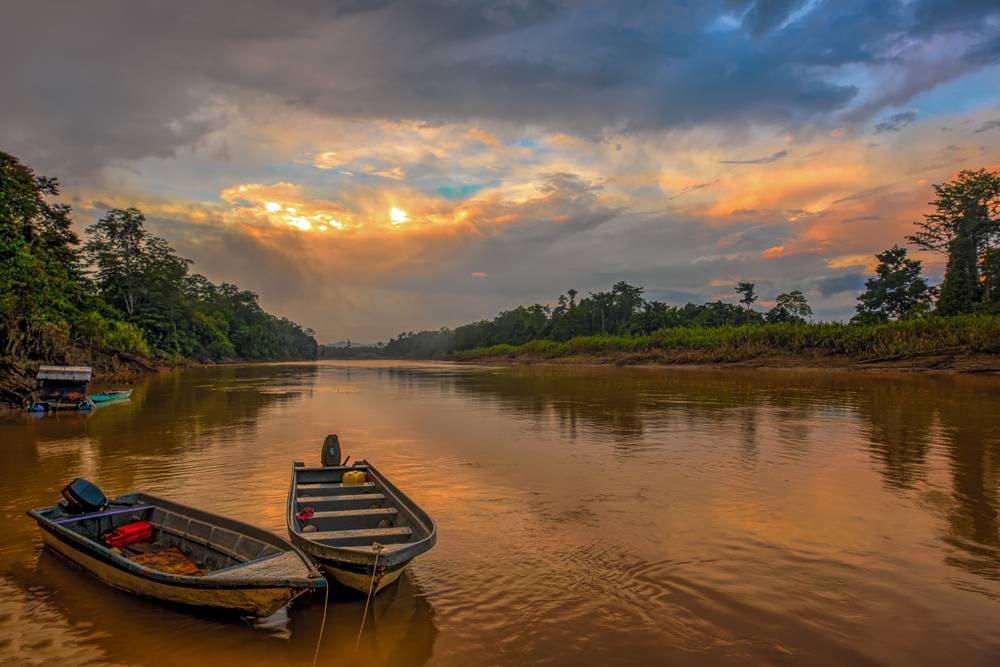 Unique Travel to Kinabatangan River, Malaysia | Blank ...