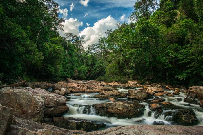 Unique Travel to Taman Negara National Park  Malaysia 
