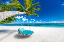 Seat hanging from palm tree on beach in The Maldives or Mauritius or Seychelles