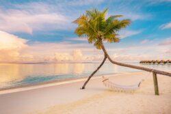 Unique Honeymoon Packages: Mauritius beach with palm tree and hammock at sunset