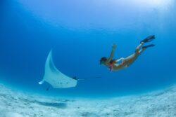 Woman snorkelling with manta ray during best time to visit the Maldives