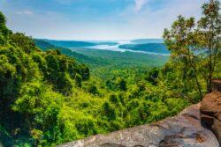 Lush forest of Cambodia - Cambodia travel package, Blank Canvas