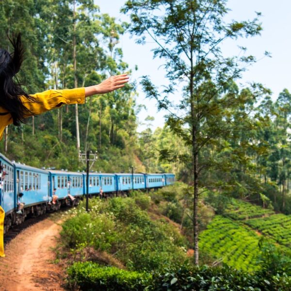 Travelling solo in Sri Lanka: our top 5 tips for an unforgettable adventure